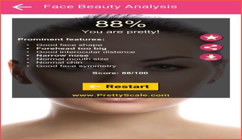 Discovering The Allure Of Prettyscale: A Journey Through Beauty Metrics